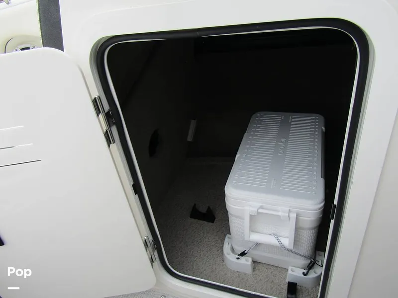 Slide: The Image of Stingray 231 DC 2023 - 15236149