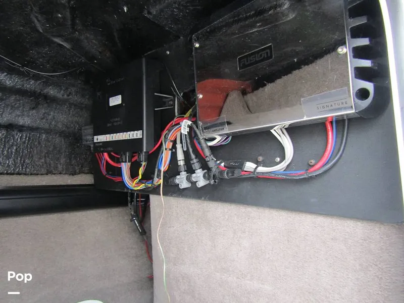 Slide: The Image of Stingray 231 DC 2023 - 15236150