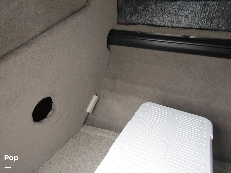 Slide: The Image of Stingray 231 DC 2023 - 15236151