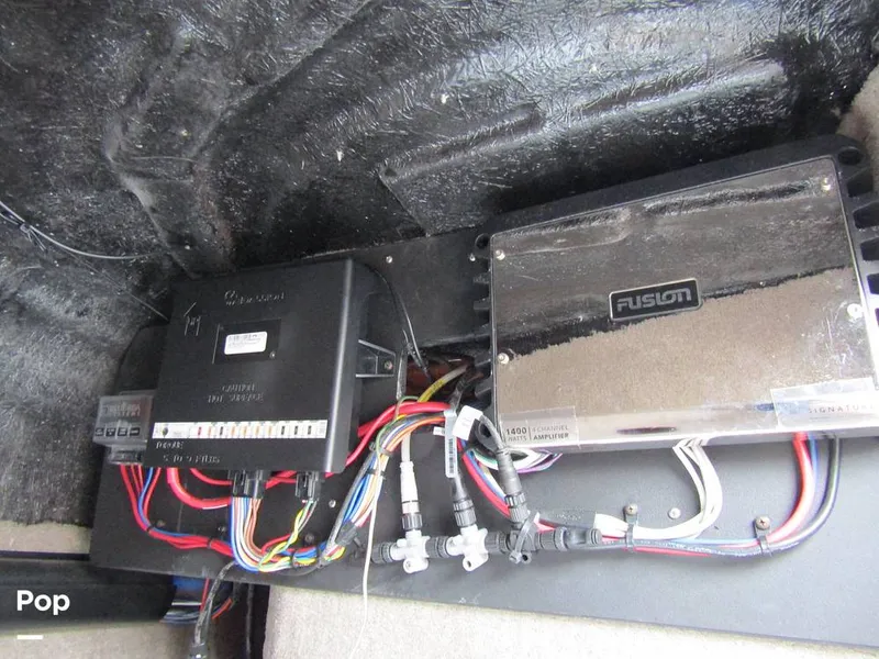 Slide: The Image of Stingray 231 DC 2023 - 15236152