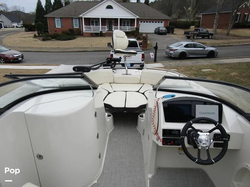 Slide: The Image of Stingray 231 DC 2023 - 15236155