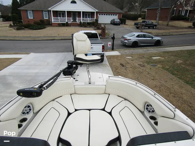 Slide: The Image of Stingray 231 DC 2023 - 15236158