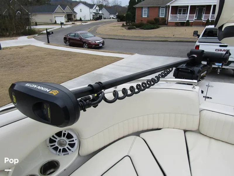 Slide: The Image of Stingray 231 DC 2023 - 15236166