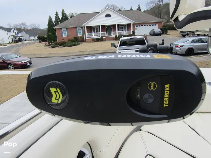 Slide: The Image of Stingray 231 DC 2023 - 15236167