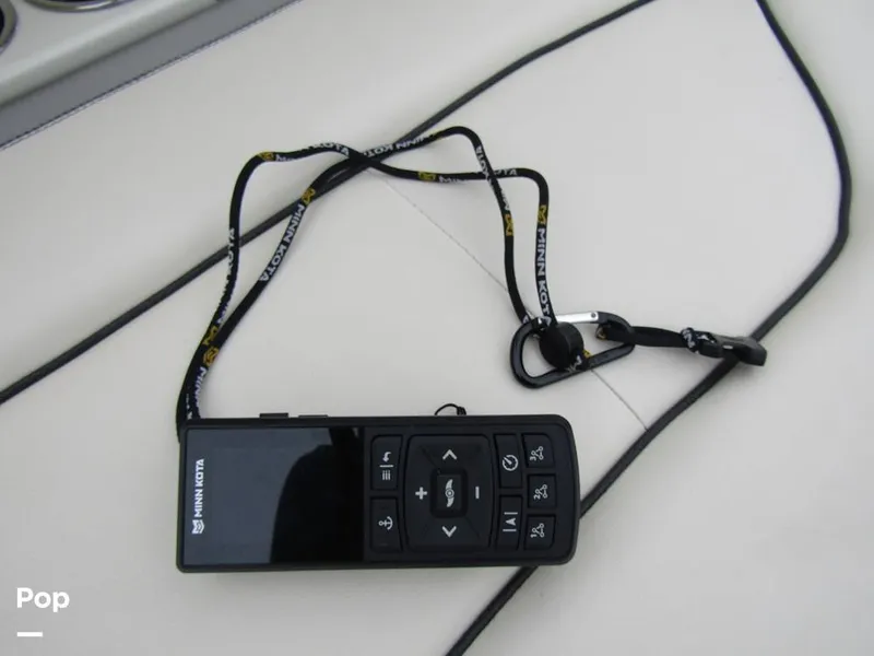 Slide: The Image of Stingray 231 DC 2023 - 15236168