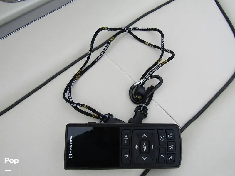 Slide: The Image of Stingray 231 DC 2023 - 15236169