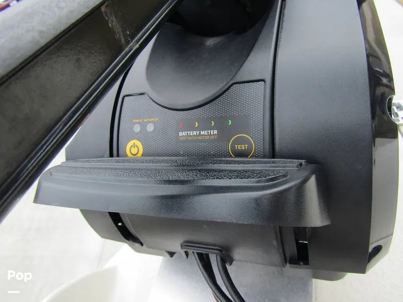 Slide: The Image of Stingray 231 DC 2023 - 15236171