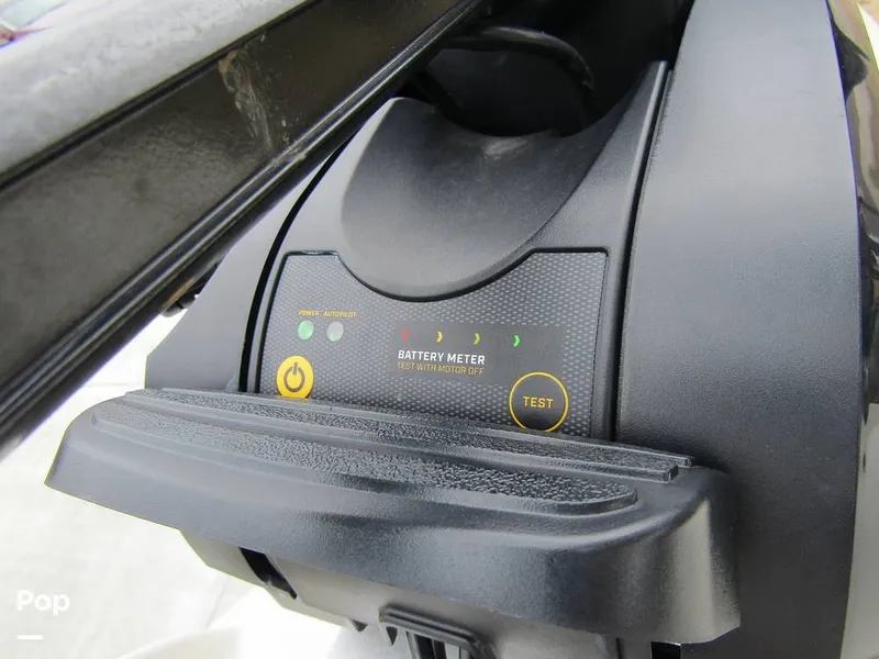 Slide: The Image of Stingray 231 DC 2023 - 15236172