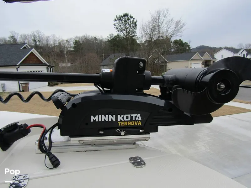 Slide: The Image of Stingray 231 DC 2023 - 15236173