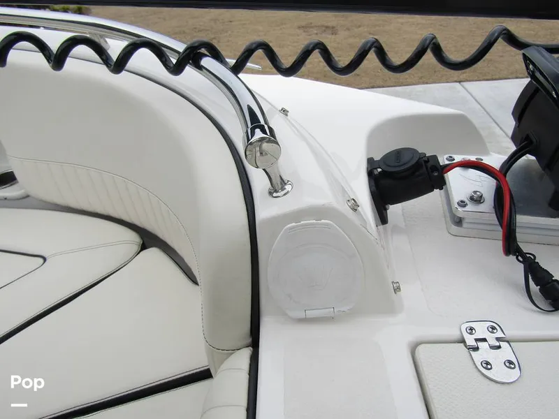 Slide: The Image of Stingray 231 DC 2023 - 15236174