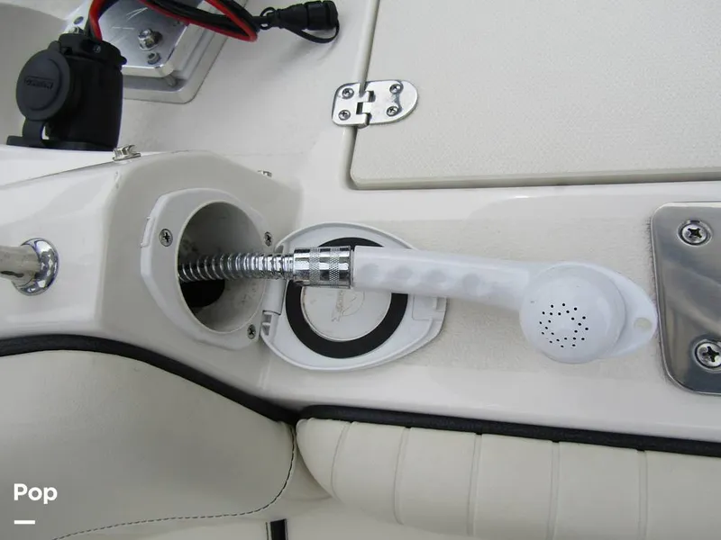 Slide: The Image of Stingray 231 DC 2023 - 15236175