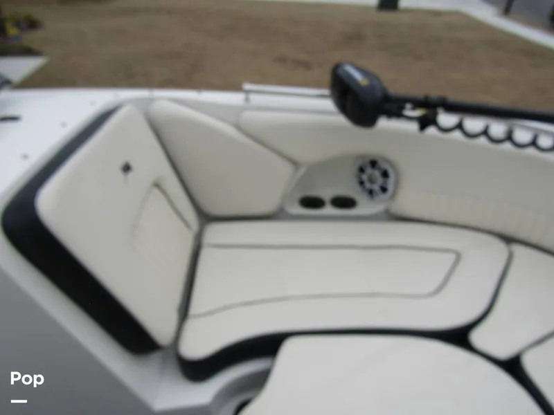 Slide: The Image of Stingray 231 DC 2023 - 15236176