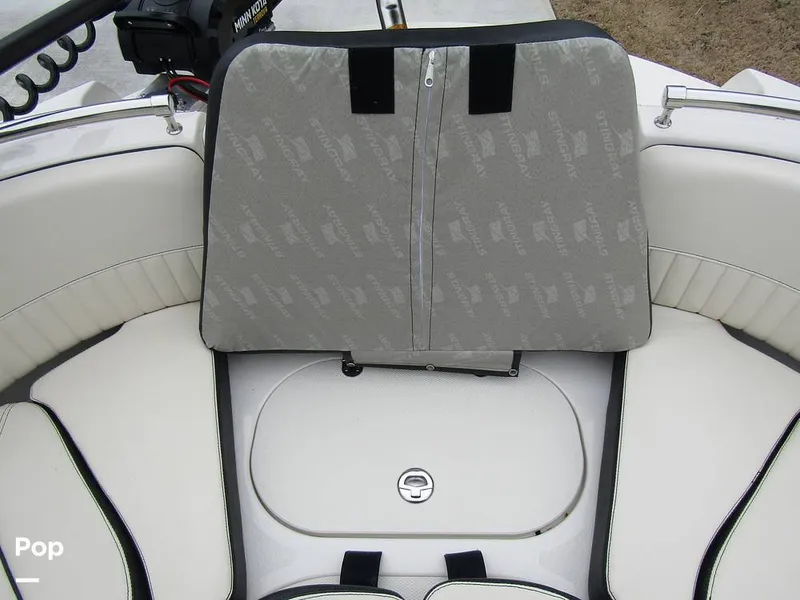 Slide: The Image of Stingray 231 DC 2023 - 15236182