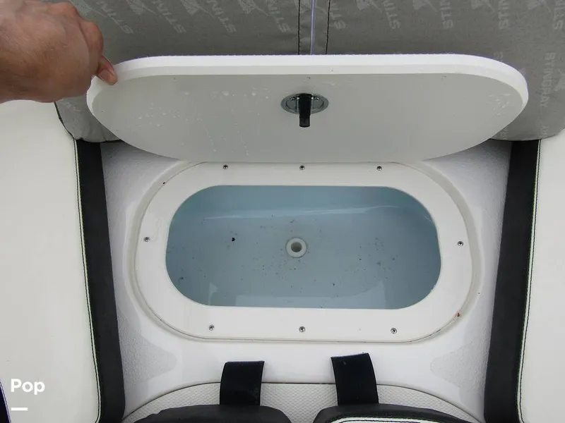 Slide: The Image of Stingray 231 DC 2023 - 15236183