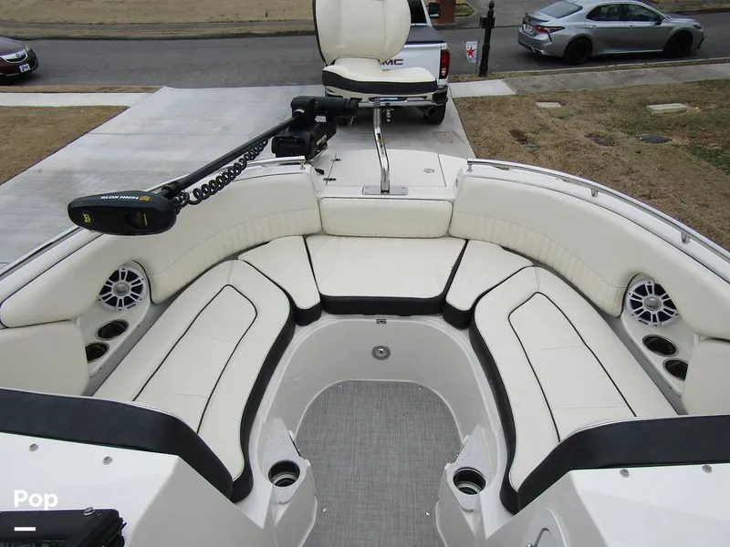 Slide: The Image of Stingray 231 DC 2023 - 15236188