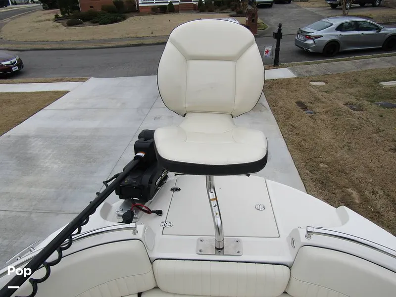 Slide: The Image of Stingray 231 DC 2023 - 15236189