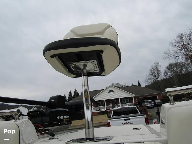 Slide: The Image of Stingray 231 DC 2023 - 15236190