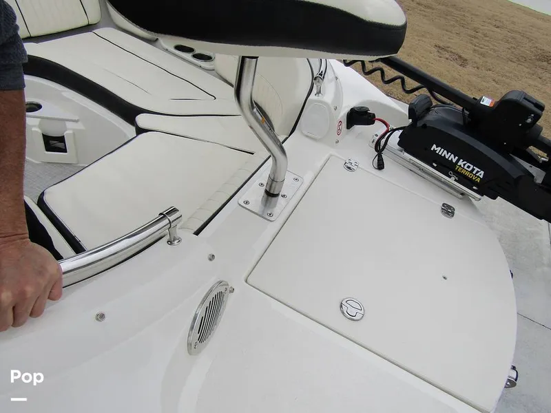 Slide: The Image of Stingray 231 DC 2023 - 15236192