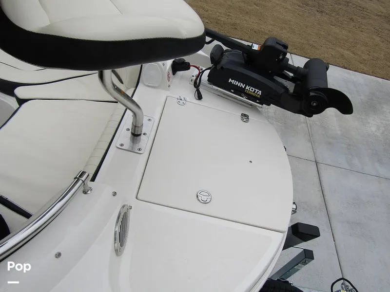 Slide: The Image of Stingray 231 DC 2023 - 15236193