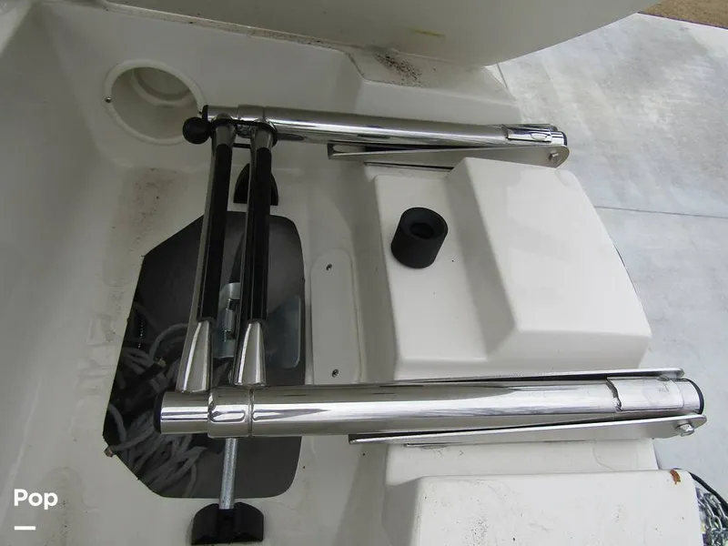 Slide: The Image of Stingray 231 DC 2023 - 15236195