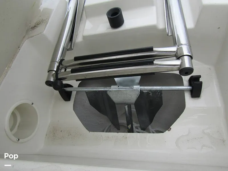 Slide: The Image of Stingray 231 DC 2023 - 15236196