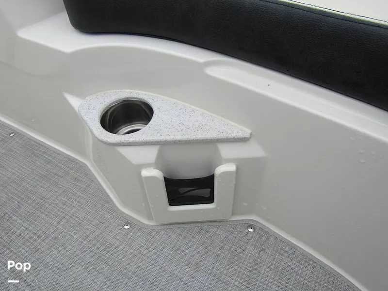 Slide: The Image of Stingray 231 DC 2023 - 15236197