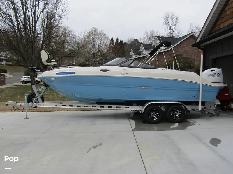 Slide: The Image of Stingray 231 DC 2023 - 15235913