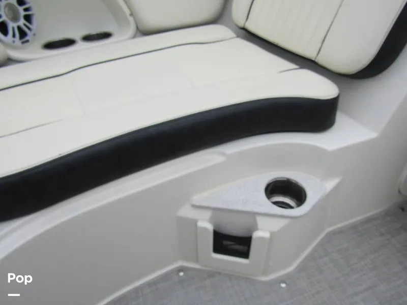 Slide: The Image of Stingray 231 DC 2023 - 15236198