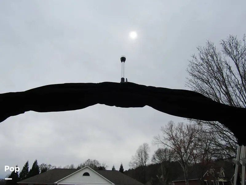 Slide: The Image of Stingray 231 DC 2023 - 15236201