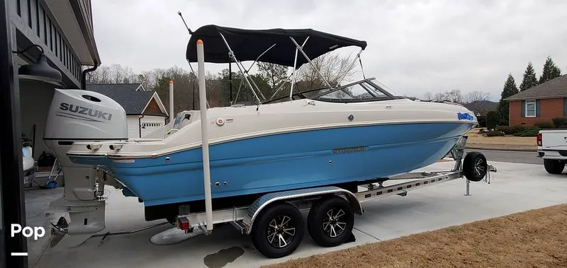 Slide: The Image of Stingray 231 DC 2023 - 15238648