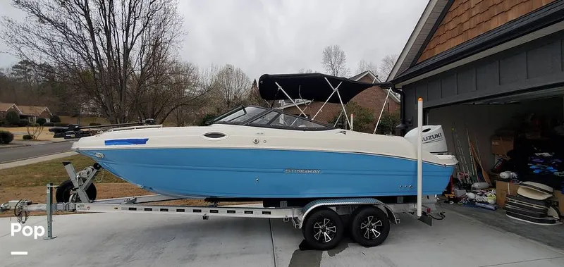 Slide: The Image of Stingray 231 DC 2023 - 15238653