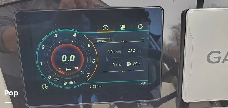 Slide: The Image of Stingray 231 DC 2023 - 15238655