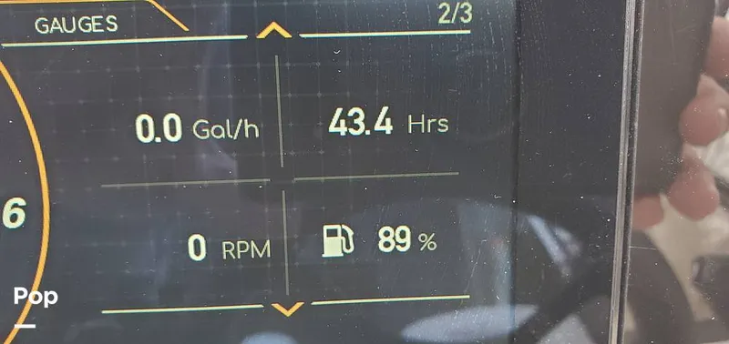 Slide: The Image of Stingray 231 DC 2023 - 15238656