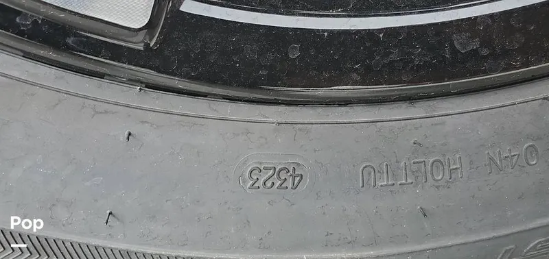 Slide: The Image of Stingray 231 DC 2023 - 15238658