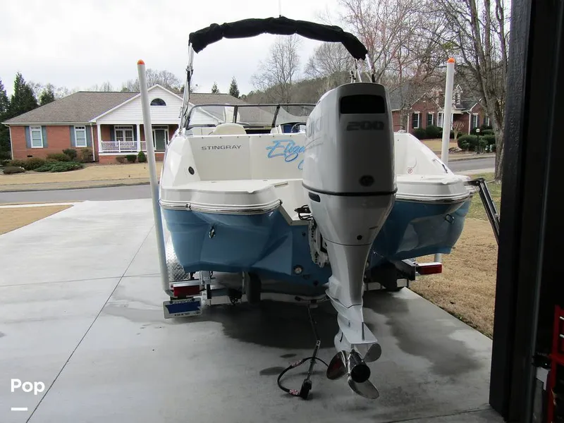 Slide: The Image of Stingray 231 DC 2023 - 15235915