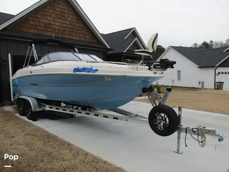 Slide: The Image of Stingray 231 DC 2023 - 15235919