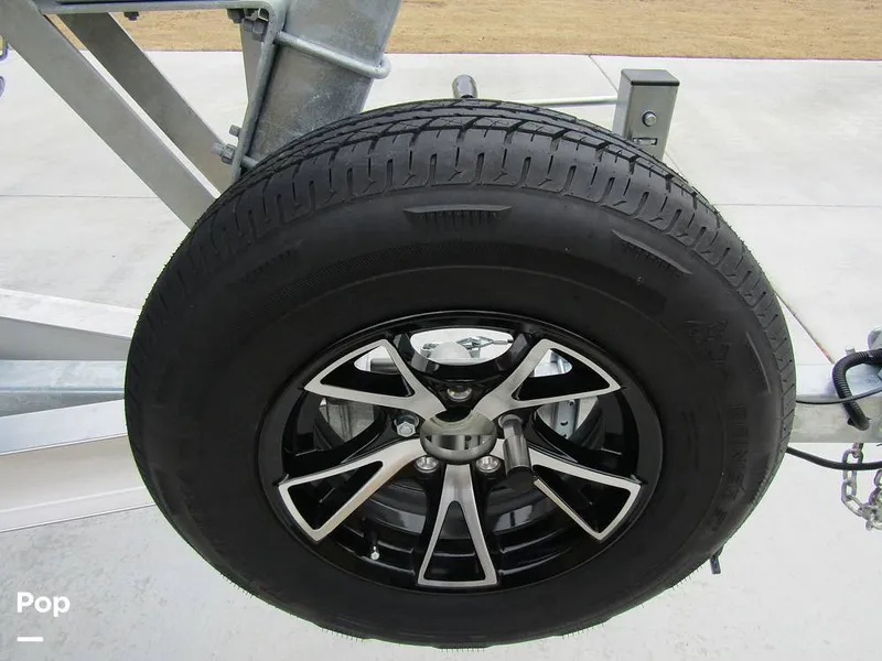 Slide: The Image of Stingray 231 DC 2023 - 15235923