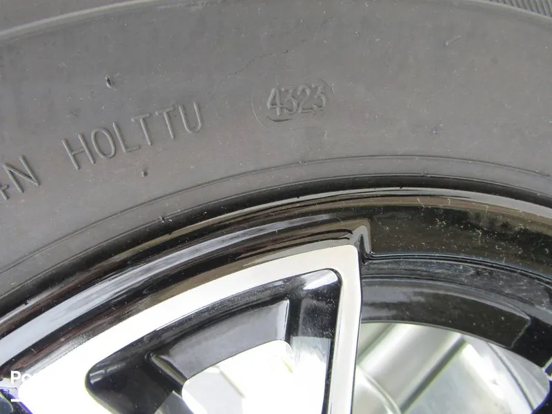 Slide: The Image of Stingray 231 DC 2023 - 15235924