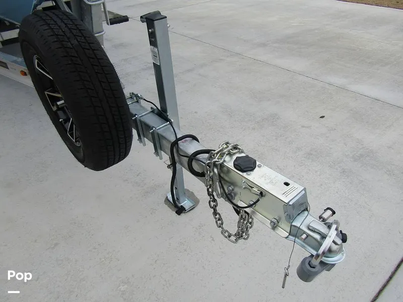 Slide: The Image of Stingray 231 DC 2023 - 15235927