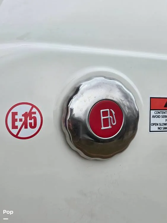 Slide: The Image of Stingray 231 DC 2023 - 15206825