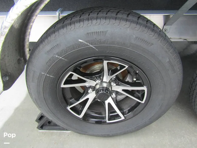 Slide: The Image of Stingray 231 DC 2023 - 15235943