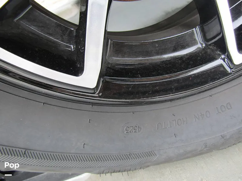 Slide: The Image of Stingray 231 DC 2023 - 15235944