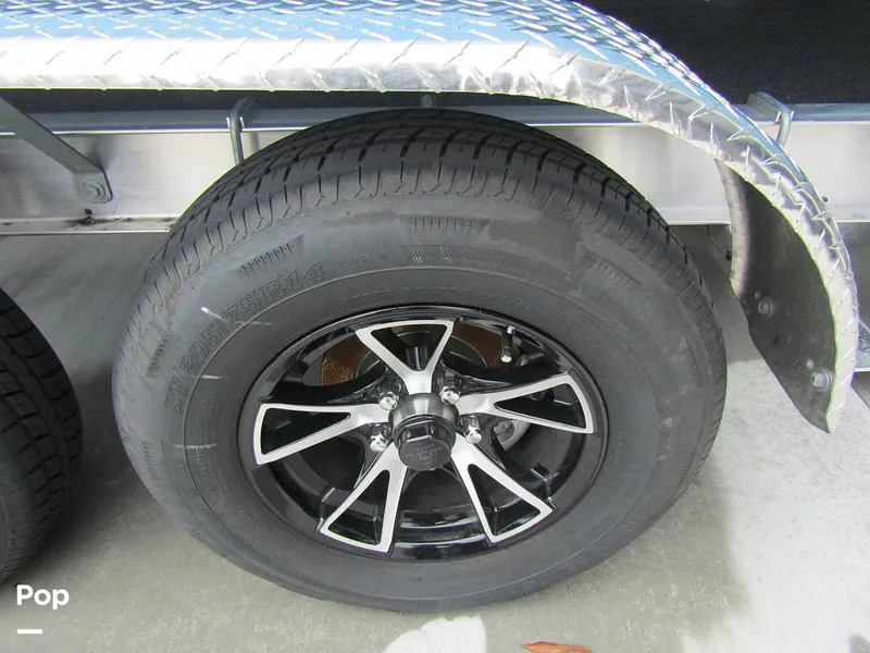 Slide: The Image of Stingray 231 DC 2023 - 15235945