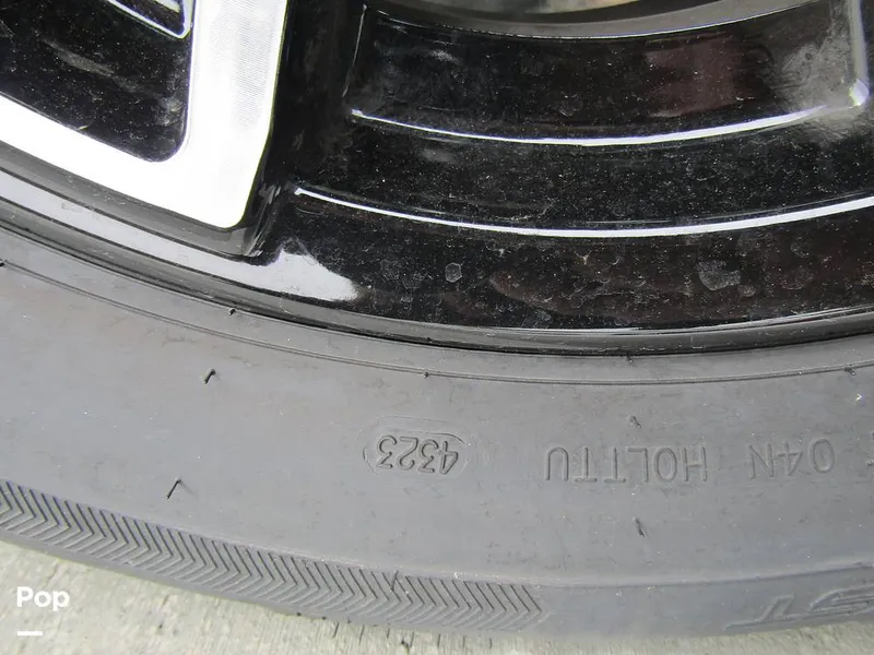 Slide: The Image of Stingray 231 DC 2023 - 15235966