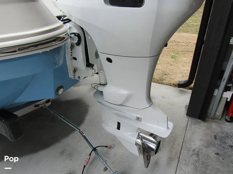 Slide: The Image of Stingray 231 DC 2023 - 15235971