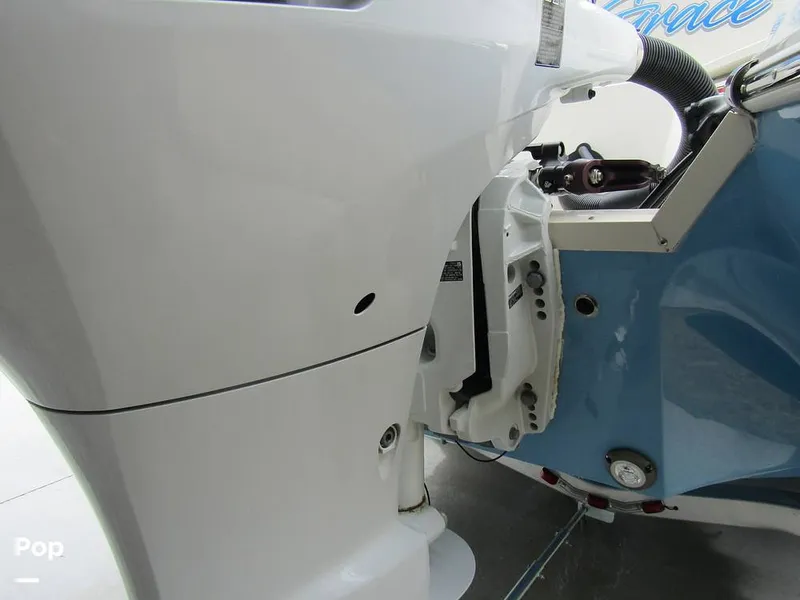 Slide: The Image of Stingray 231 DC 2023 - 15235976