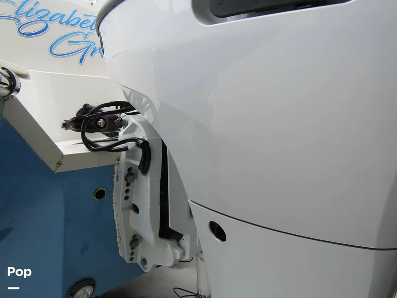 Slide: The Image of Stingray 231 DC 2023 - 15235977