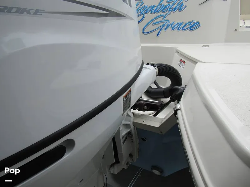 Slide: The Image of Stingray 231 DC 2023 - 15235980