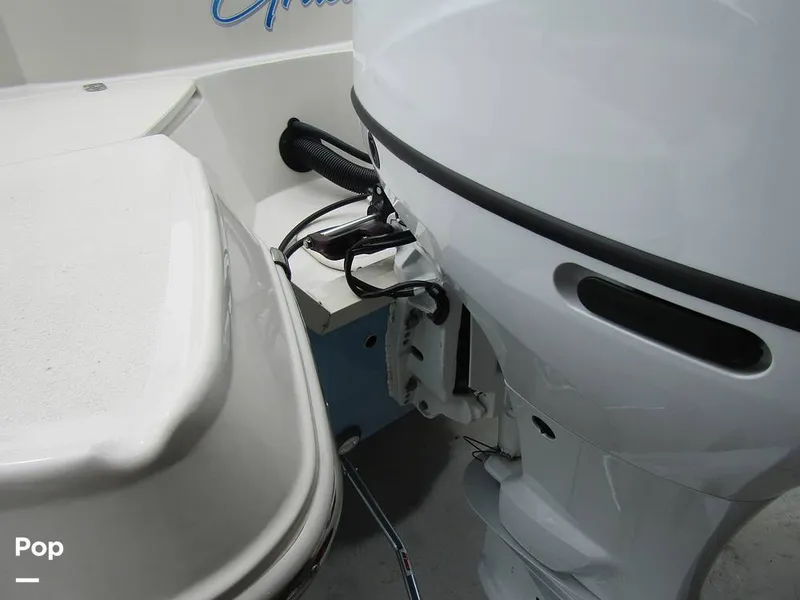 Slide: The Image of Stingray 231 DC 2023 - 15235981