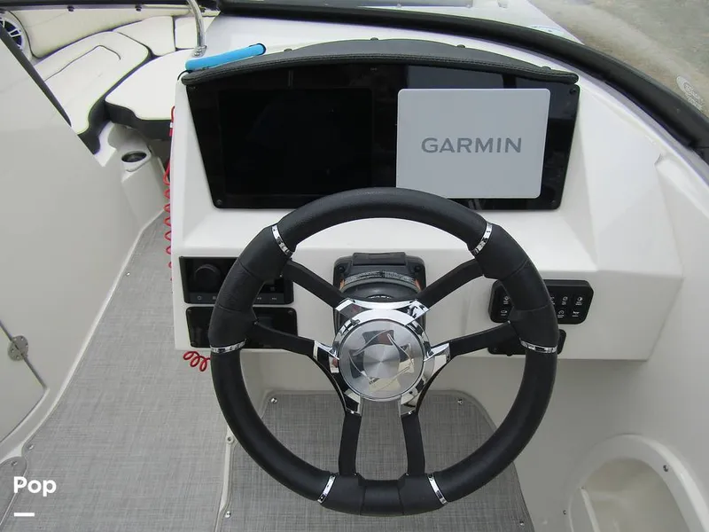 Slide: The Image of Stingray 231 DC 2023 - 15236122